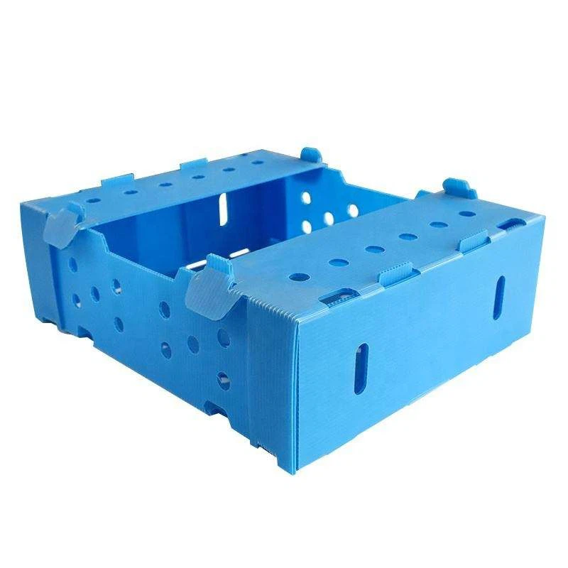 Corrugated Plastic Turnover Vegetable Boxes