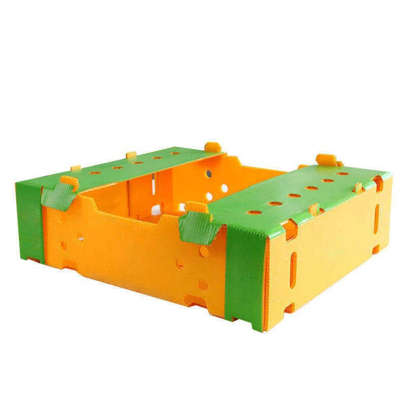 Vegetable Packaging Box